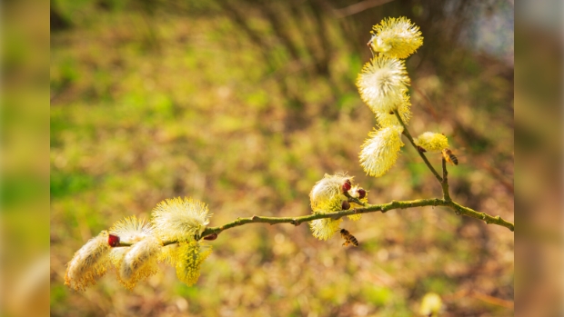 Lange dagwandeling Lochemse Berg