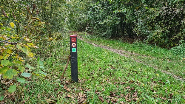 wandelpaal