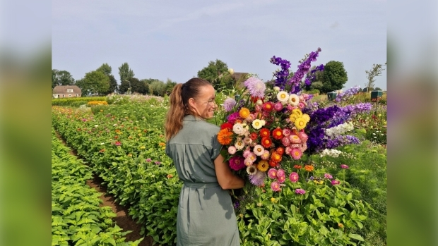 Sandra Wesselink staat achter de kraam met plantjes op de plantjesgeluk-markt bij Biotulips in Toldijk