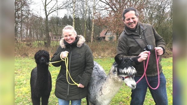 Alpaca Meet & Greet, Gelderland