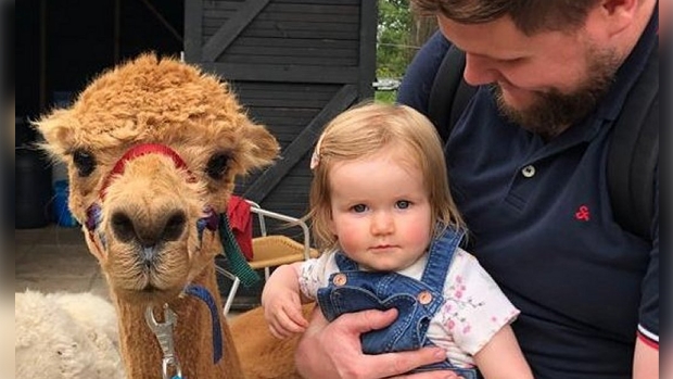 Alpaca Meet & Greet, Gelderland
