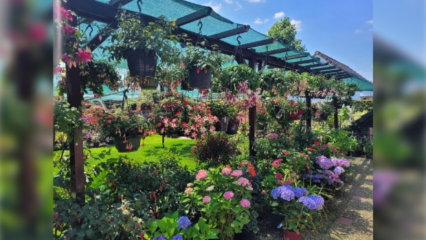 Tuinimpressie
