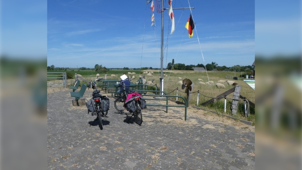 Fietsen over de dijk langs de Rijn