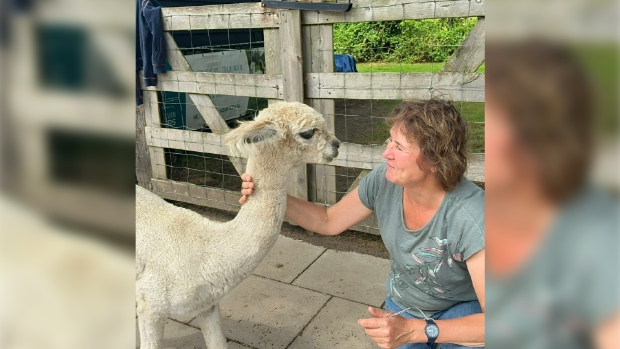 Alpaca Meet & Greet, Gelderland