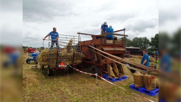 DE oude dorsmachine