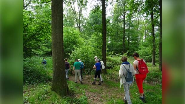 Deelnemers eerdere meditatieve wandelingen 