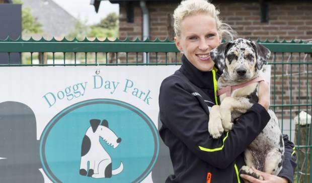 Marlon Boogaard op Doggydaypark, de ideale dagopvang voor honden!