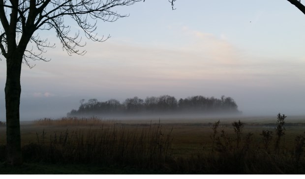 foto: Marianne Jonker
