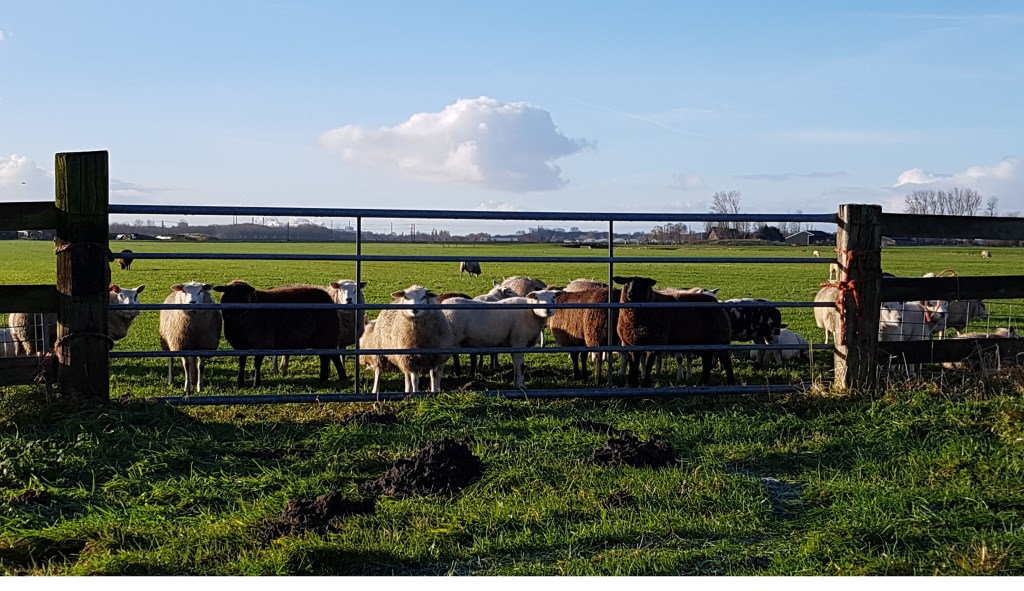 foto: Marianne Jonker