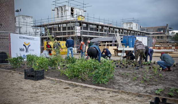 Vereniging Groei en Bloei, medewerkers van de gemeente Heiloo en toekomstige bewoners planten de BioBorder aan rondom de schoorsteen.