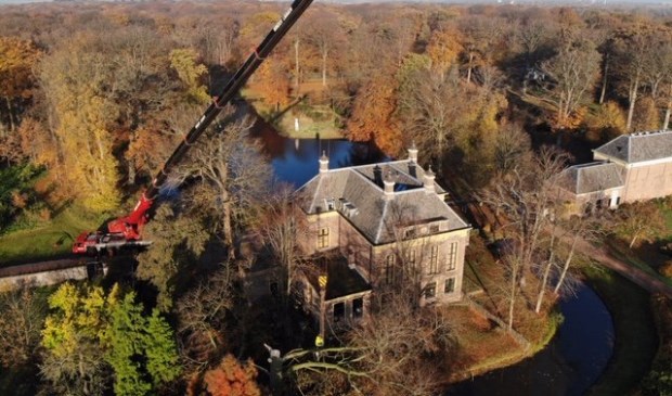 De beuk die het hoofdhuis bedreigde, is gerooid.