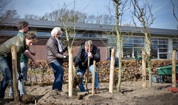 Wethouders Elly Beens en Rob Opdam helpen bij het planten van fruitbomen op Landgoed Willibrordus.
