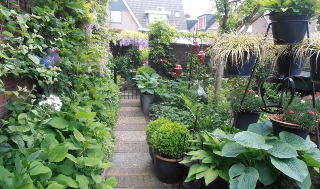 Veel moois te zien tijdens open tuinen weekend in Uitgeest