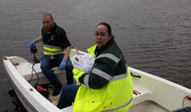 Medewerkers van Dierenambulance Kennemerland redden een Kiekendief.