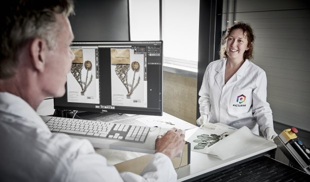Picturae is marktleider op het gebied van digitaliseren van o.a. natuurhistorisch materiaal.