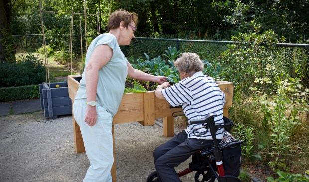 Vrijwilligers nemen ouderen mee de tuin in om samen te tuinieren.