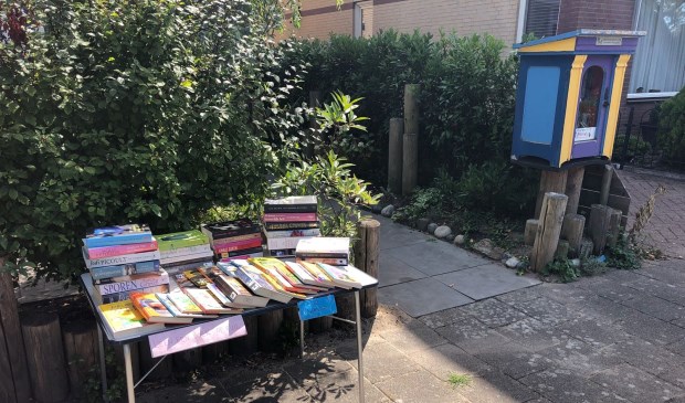 De Little Free Library