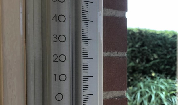 Hoge temperaturen kunnen vervelende gevolgen hebben voor huisdieren