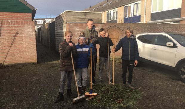 De kerstboomverzamelaars
