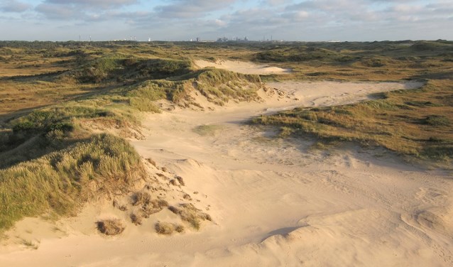 De Lazaretduin in Castricum.