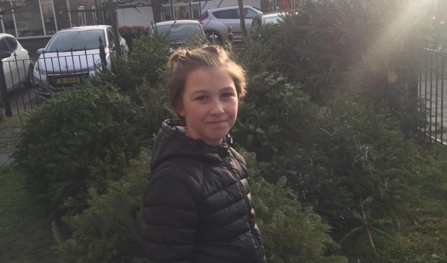 Samuel met zijn verzameling kerstbomen