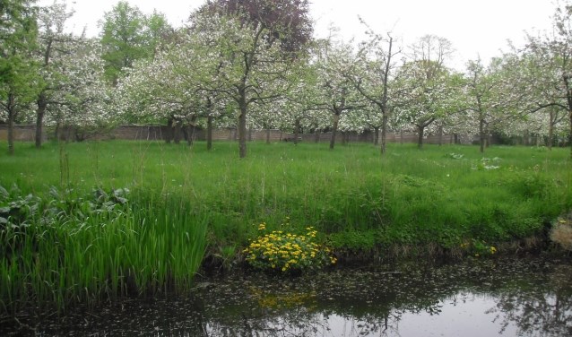 De parktuinen worden onderhouden door trouwe groep hardwerkende vrijwilligers.