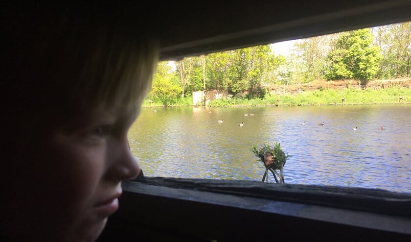 De 7-jarige Max in het kijkhutje.