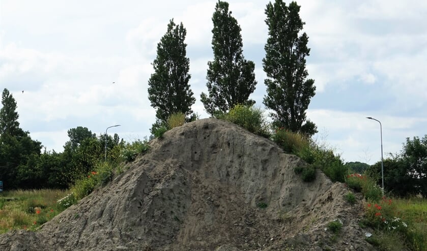 De oeverzwaluw graaft nestgangen tot wel 120 cm diep.