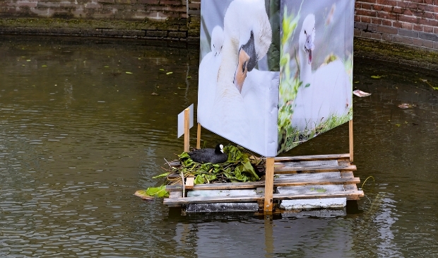 Fotografie Anneke Kroonenberg
