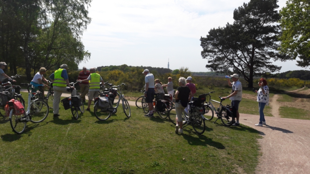 Westerheide 