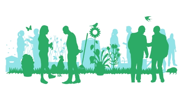 Netwerkactiviteit Natuur in de stad