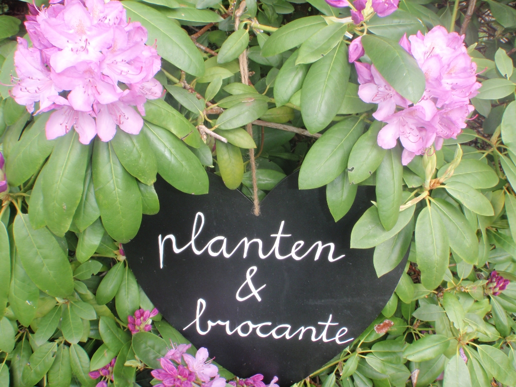 planten&brocante
