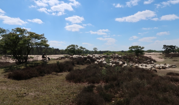 Zuiderheide Hilversum