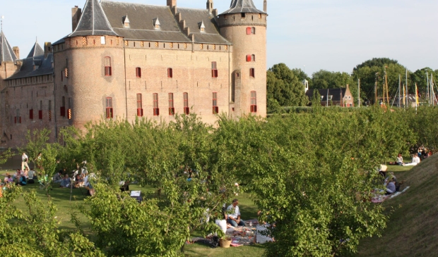Midzomeravondpicknick