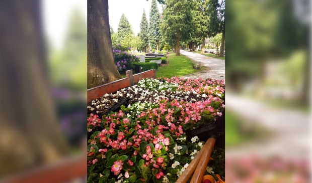 Impressie voor de plantjesmarkt