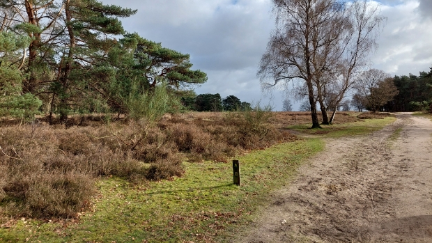 Zuiderheide