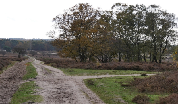 De heide nabij Het Sint-Janskerkhof, waarop links en rechts grafheuvels liggen (niet in beeld).