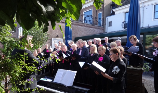 The Moclas SIngers