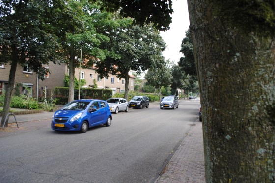 van groen bussum van groen bussum