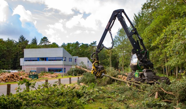 Sinds maandag is de grijpmachine bezig in het gebied van de Monnikenberg.