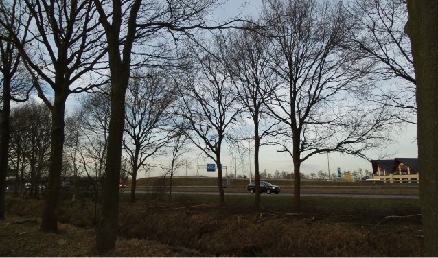 Langs de A1 zullen al bomen gekapt wordt ter voorbereiding van de wegwerkzaamheden voor de verbreding van de weg.