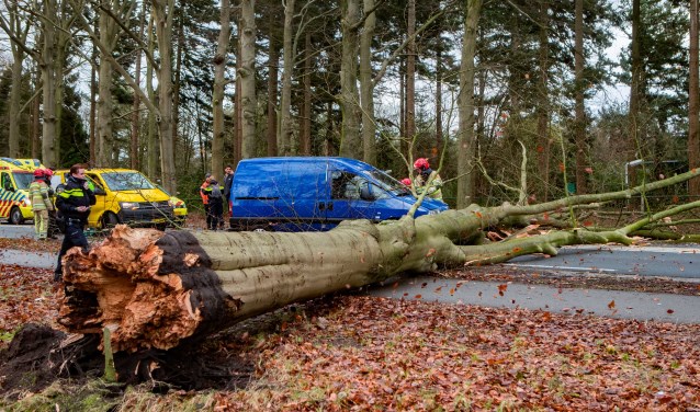 Op de Hilversumseweg was een boom op een rijdende auto gevallen.