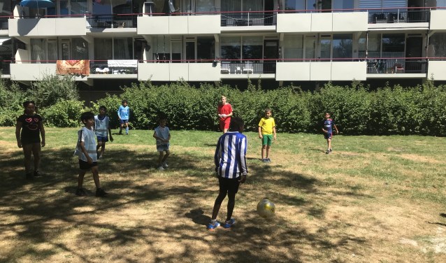 Op de Rode Kruislaan komt een Tiny Forest.