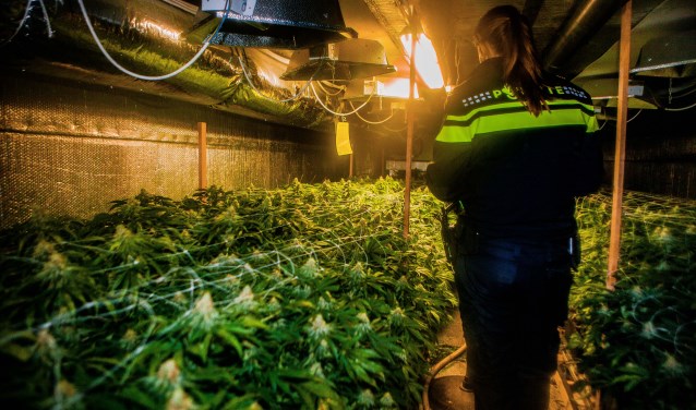 Georganiseerde hennepteelt is zichtbare ondermijnende criminaliteit en komt ook in Huizen voor.