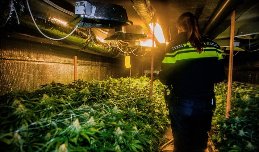 Georganiseerde hennepteelt is zichtbare ondermijnende criminaliteit en komt ook in Huizen voor.
