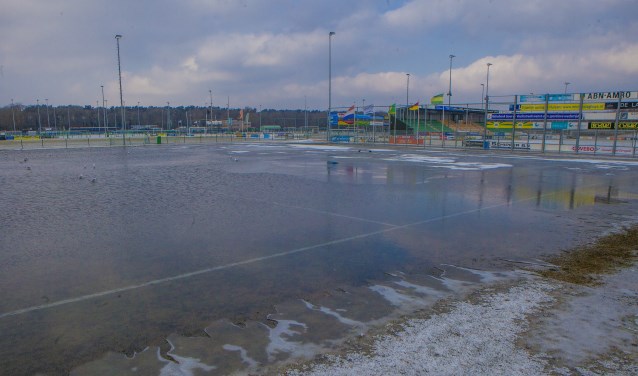 De meeuwen genieten nu nog even van het water, dat hopelijk straks bevroren en dik genoeg is om op te schaatsen.
