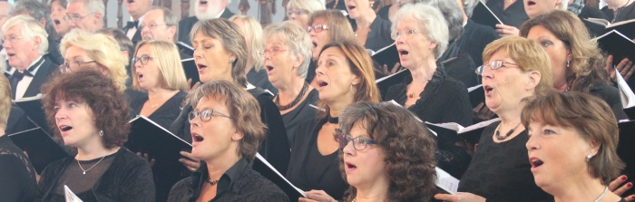 Nederlandse Händelvereniging