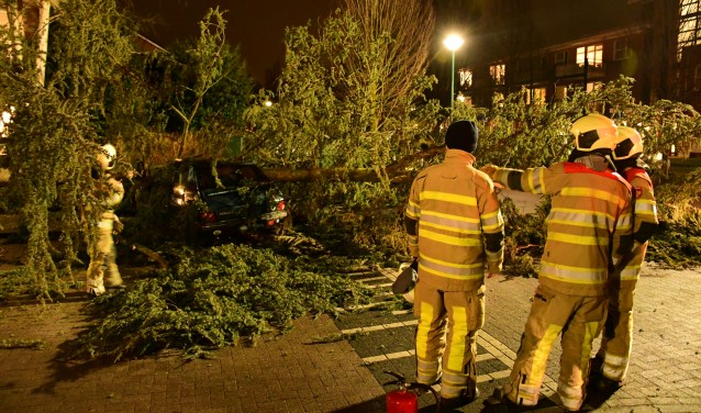 Boom valt op auto. #oefeningbrandweer