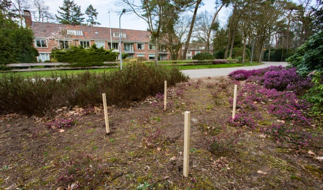Het plantsoen aan de Rossinilaan, waar het monument op 2 mei wordt onthuld.