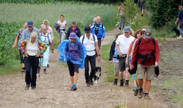 Wandelen door de Gooise natuur.